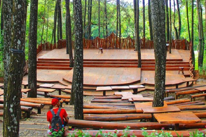 Hutan Pinus Mangunan, Destinasi Populer dan Instagramable di Jogjakarta 5 Hutan Pinus Mangunan