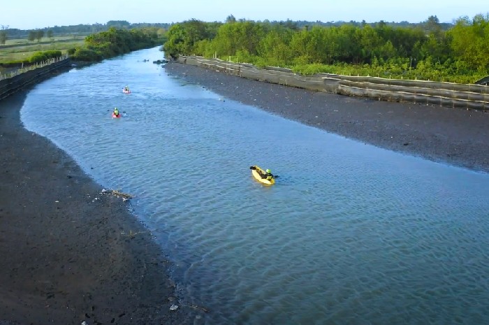 Hutan Mangrove Baros, Wisata Murah Namun Memberikan Pengalaman Yang Luar Biasa 5 Hutan Mangrove Baros