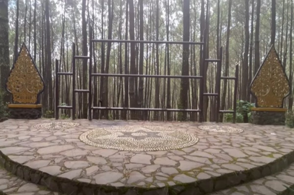 Hutan Pinus Kayon Semarang